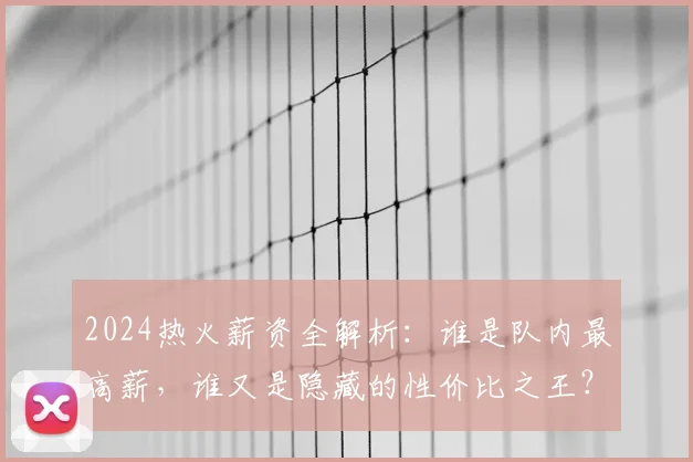 2024热火薪资全解析：谁是队内最高薪，谁又是隐藏的性价比之王？