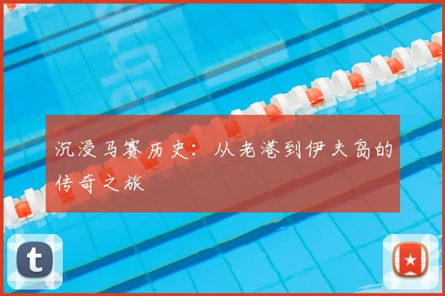 沉浸马赛历史：从老港到伊夫岛的传奇之旅