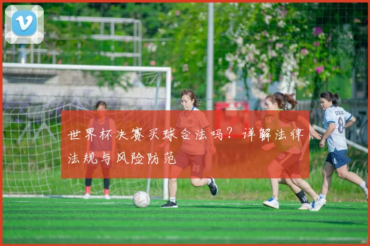 世界杯决赛买球合法吗?详解法律法规与风险防范